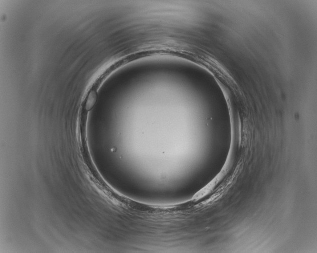 X0000067490788200604071203