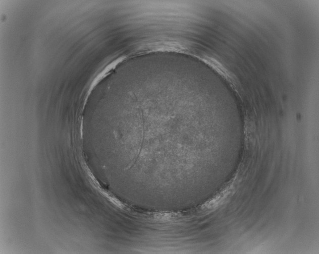 X0000067490790200604071203