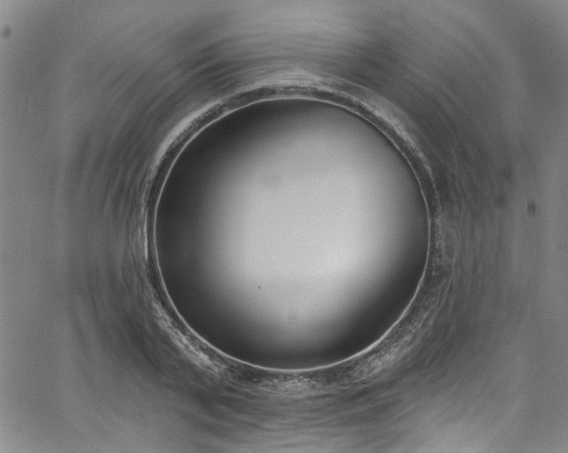 X0000067490791200604071203