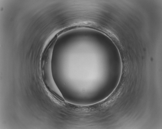 X0000067490792200604071203