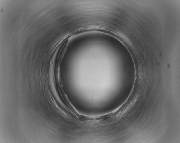 X0000067490793200604071203