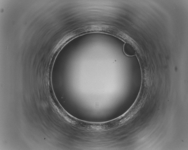 X0000067490794200604071203