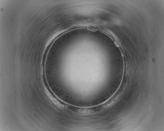 X0000067490795200604071203