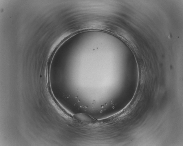 X0000067490796200604071202