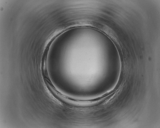 X0000067490797200604071202