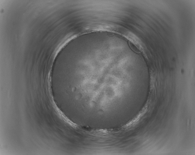 X0000067490798200604071202