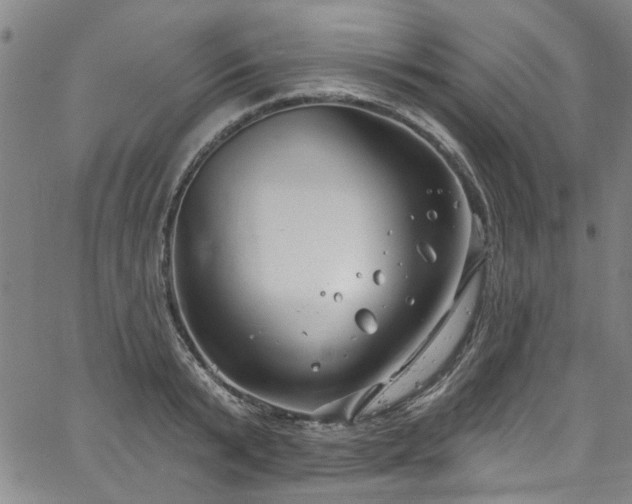 X0000067490799200604071202