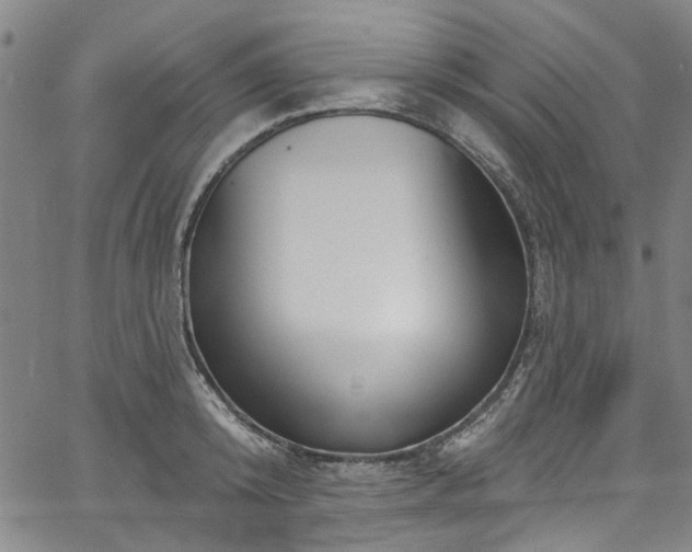 X0000067490800200604071202