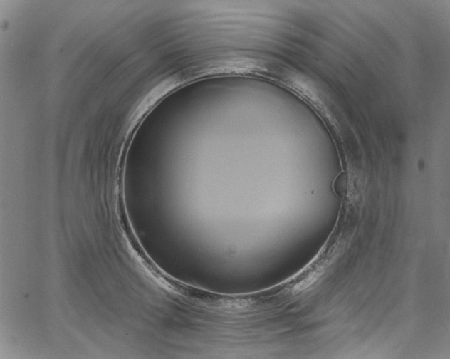 X0000067490802200604071202