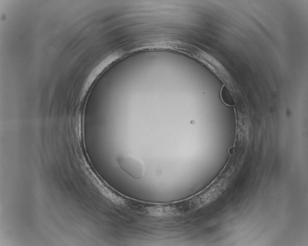 X0000067490804200604071202