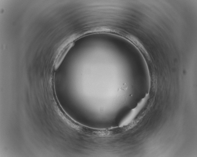 X0000067490805200604071202