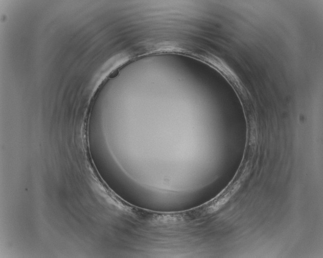 X0000067490806200604071202