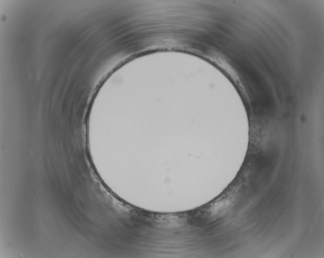 X0000067490807200604071202