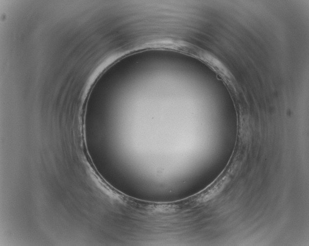 X0000067490808200604071202