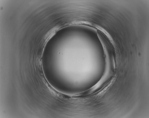 X0000067490809200604071202