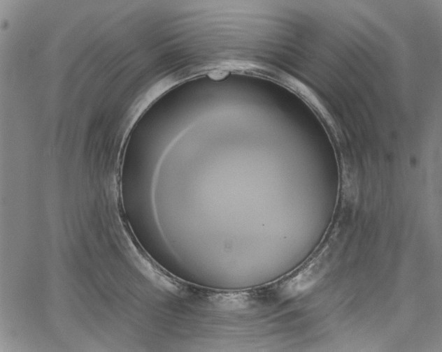 X0000067490810200604071202