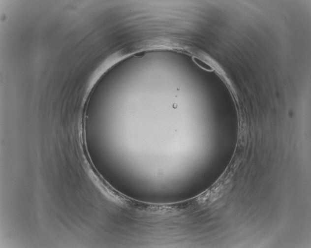 X0000067490811200604071202