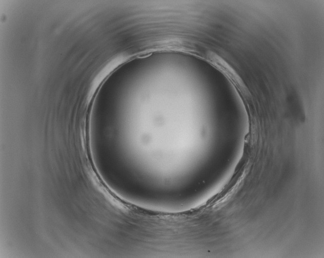 X0000067490812200604071202