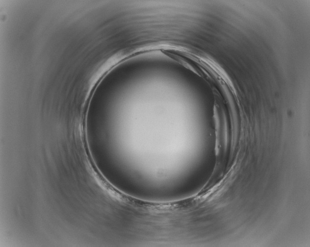 X0000067490813200604071202