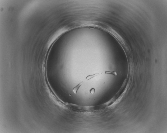 X0000067490814200604071202