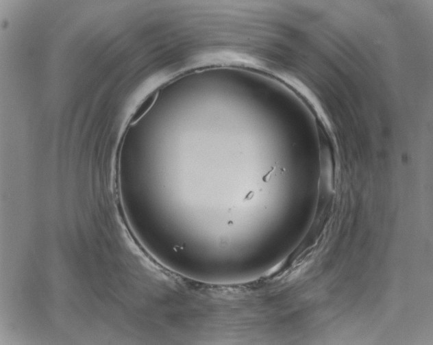 X0000067490815200604071202