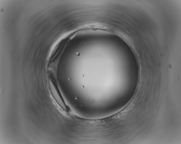 X0000067490816200604071202