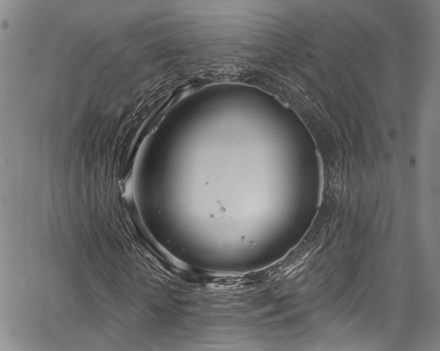 X0000067490818200604071201