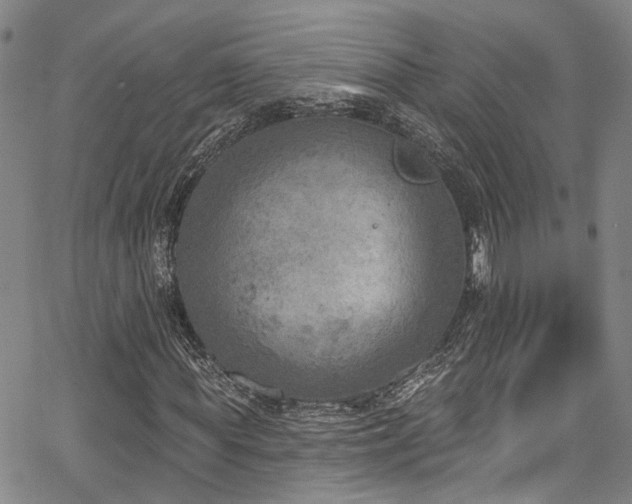 X0000067490819200604071201