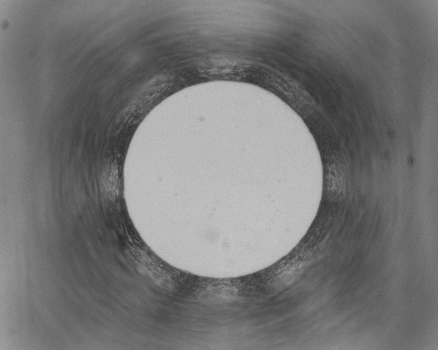 X0000067490820200604071201