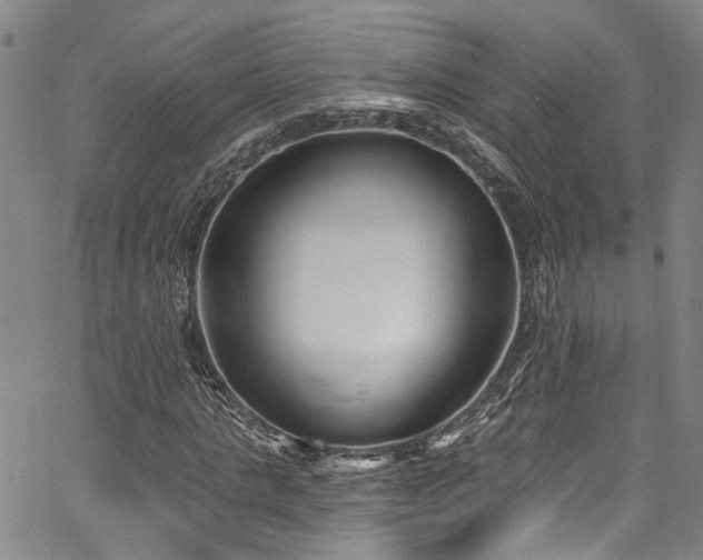 X0000067490821200604071201