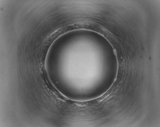 X0000067490822200604071201