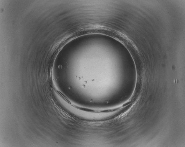 X0000067490825200604071202