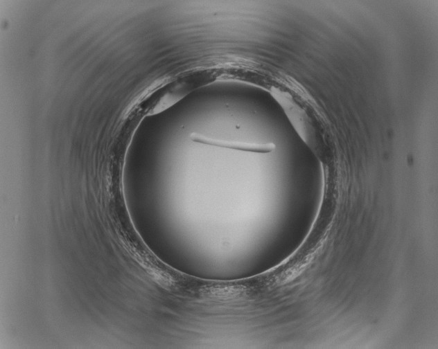 X0000067490826200604071202