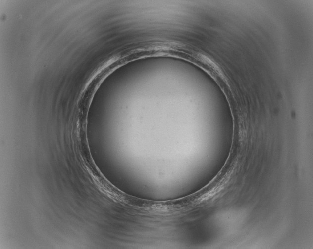 X0000067490827200604071202