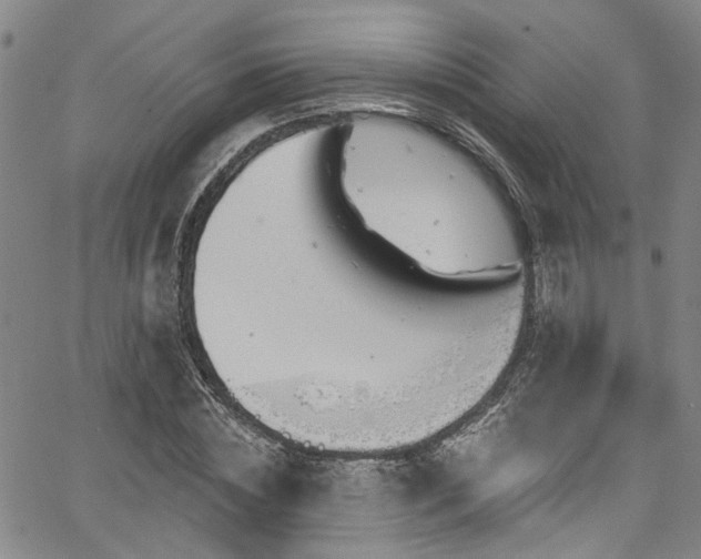 X0000067490828200604071202