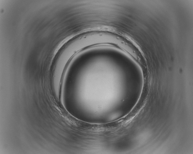 X0000067490829200604071202