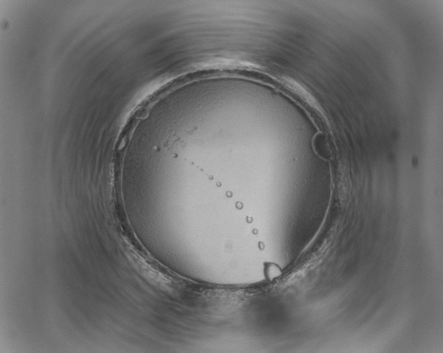 X0000067490831200604071202