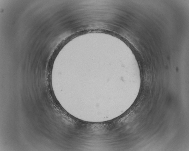 X0000067490832200604071202