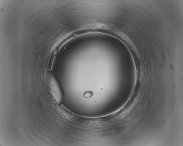 X0000067490834200604071202