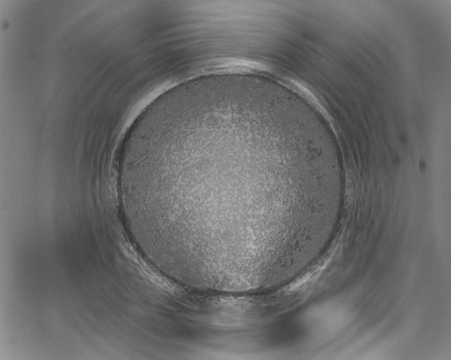 X0000067490835200604071202