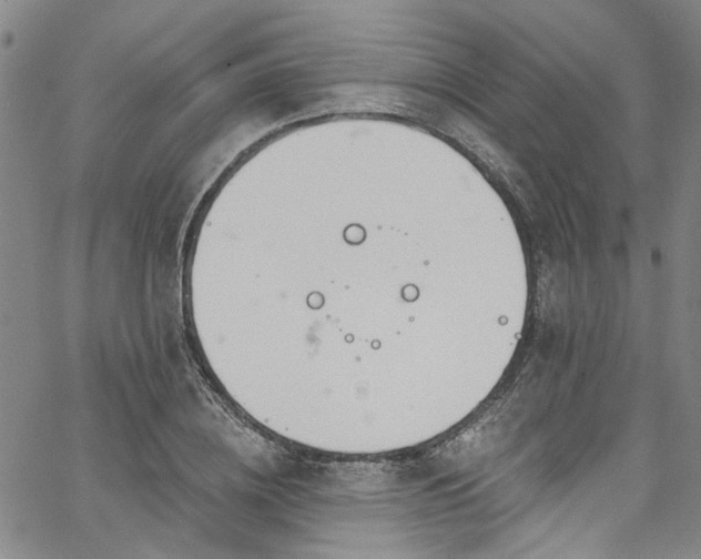 X0000067490836200604071202