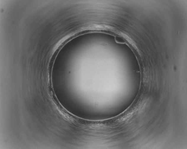 X0000067490837200604071202