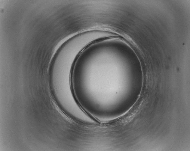 X0000067490838200604071202