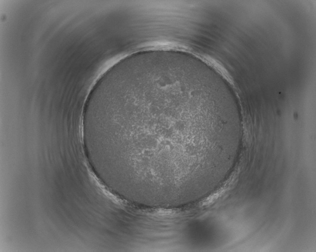 X0000067490839200604071202