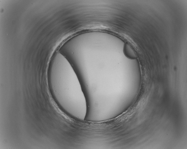 X0000067490840200604071202