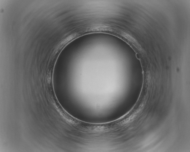 X0000067490841200604071202