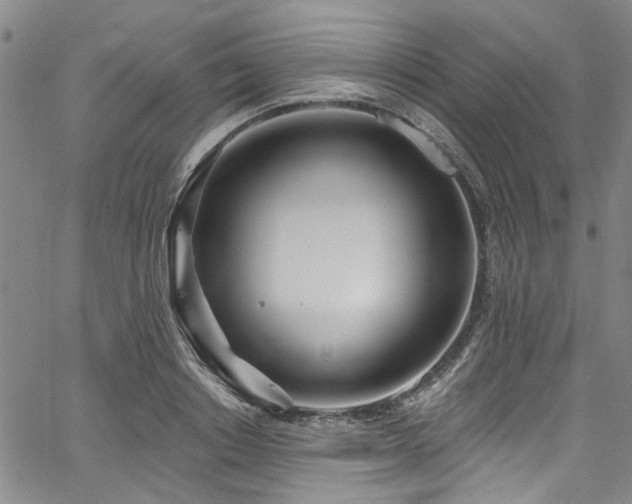 X0000067490842200604071202