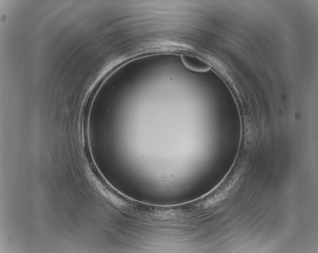 X0000067490843200604071202