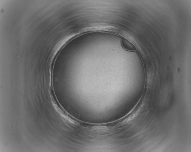 X0000067490844200604071202