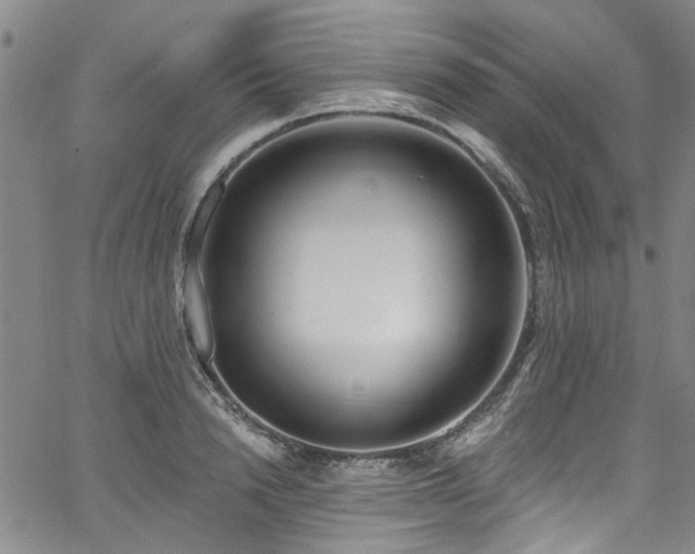 X0000067490846200604071202